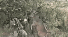 6E6D5B7C-9D1A-47F6-BD60-4E5C64D30A78.gif