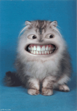 1597934487019.png