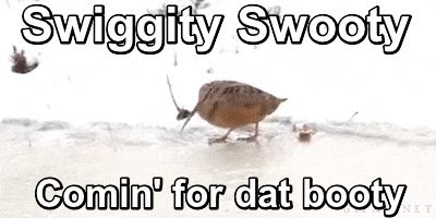 B8FAD8F9-8658-487E-9FCF-B5003B623010.gif