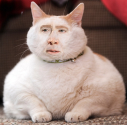 1598193932196.png