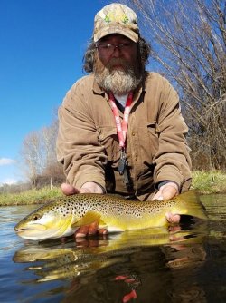 trout7.jpg