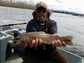 trout15.jpg