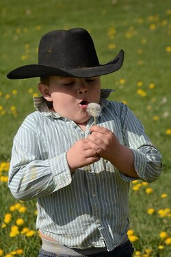 cowboyb.jpg