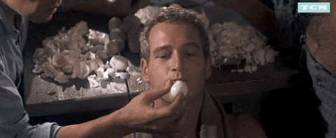 AD315B6D-2D28-4EB2-B17B-5AF0CD09DF3E.gif