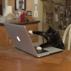 7DFE852E-8C55-45A6-9AAC-858D66D691E7.gif