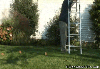 CD0D9F4E-8F53-4D75-BE35-C905DC01B770.gif