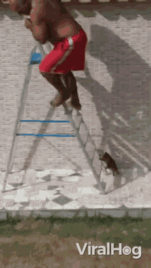 fall-tumble.gif