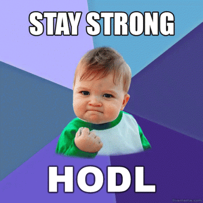 hodlstaystrong-ani.gif