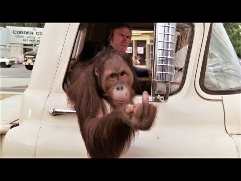 clydetheorangutan.jpg