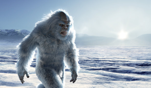 yeti01.jpg