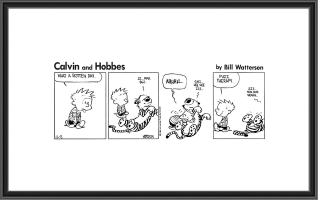 ch861208-framed.png