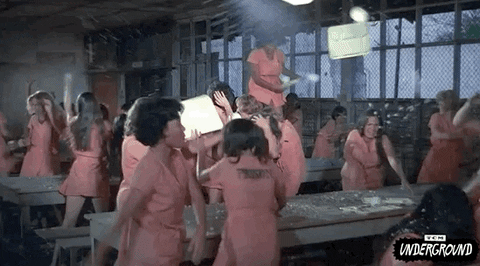 Women fighting.gif