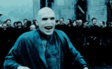 IMG_1308.gif