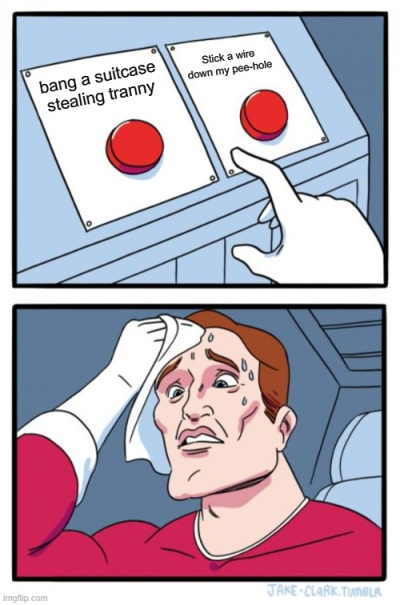 1693986426389.png