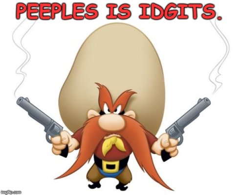 idgitsyosemitesam.jpg