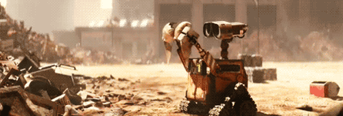 walleputbraoneyes-ani.gif