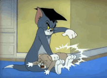 1BA3CF3E-54C9-4D81-A5D1-0B4556099D2C.gif