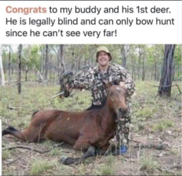 16059093922524772122472045757403_184846711000265.png