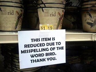 misspellingofwordbird.jpg