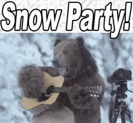 snowpartybearguitar-ani.gif