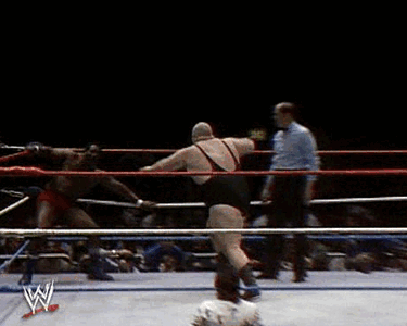 IMG_9253.gif