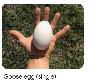 1706209851652.png