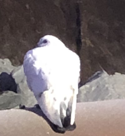 IMG_0708.jpeg