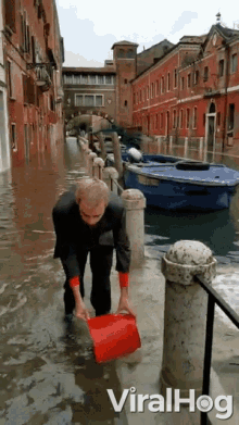 really.gif