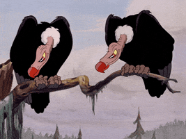 vultures-ani.gif