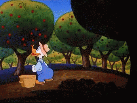 IMG_9955.gif