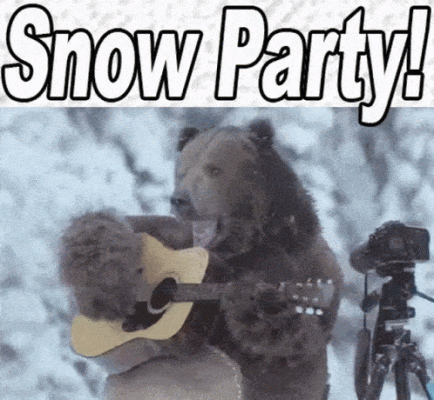 snowpartybearguitar-ani.gif