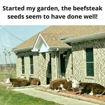 1711594334874.png