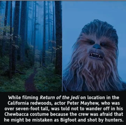 Screenshot_20240328-100127~2.png