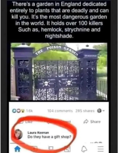 Screenshot_20240326-183309~2.png
