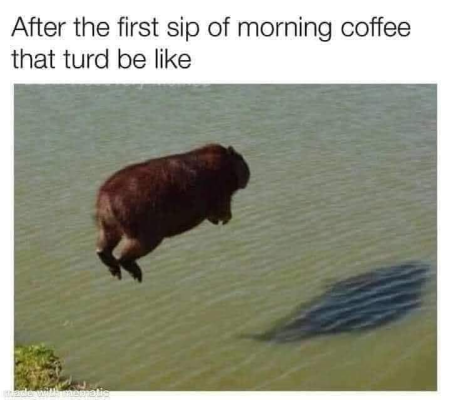 1711967741868.png