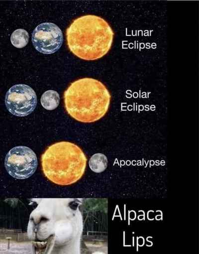 1712506887042.png