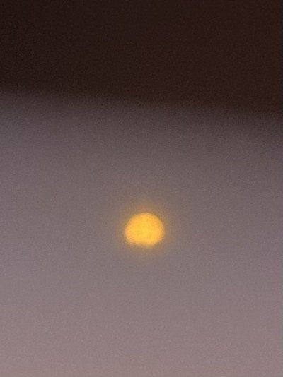 IMG_0137.jpeg