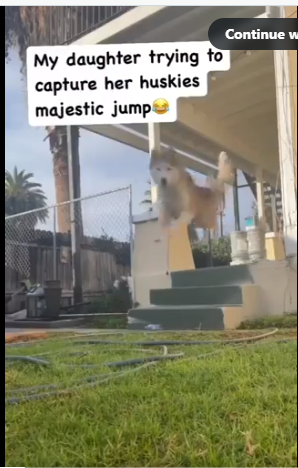 1712685312077.png