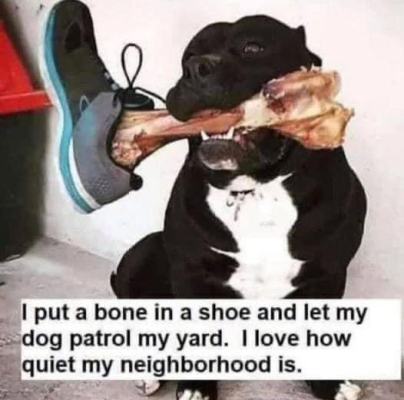 1712743734767.png