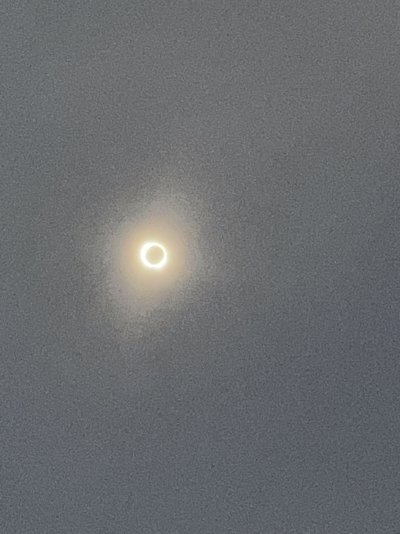 51A15A6D-1758-411F-9A50-4C012573605F.jpeg
