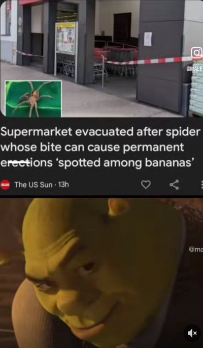 Screenshot_20240417-053432~2.png