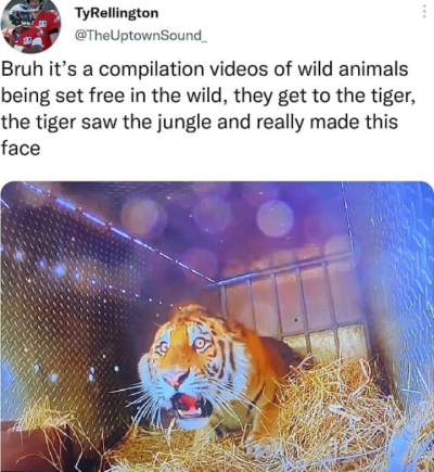 Screenshot_20240421-183928~2.png