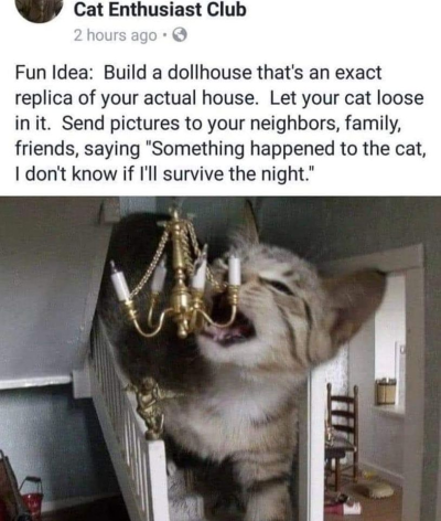 1713780517399.png