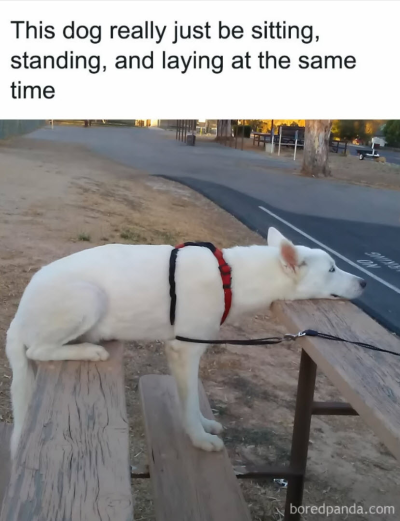 1714052765991.png