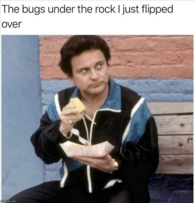 1714276777429.png