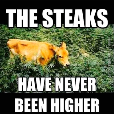 1714561044098.png