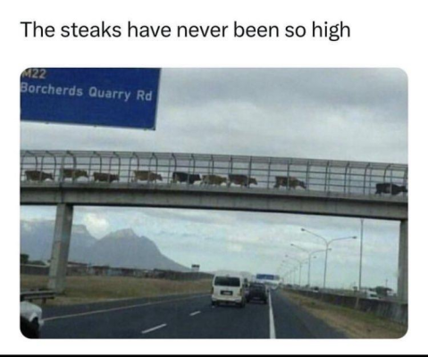 1715248939160.png