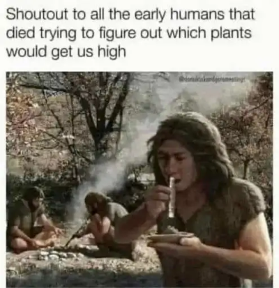 1715275291826.png