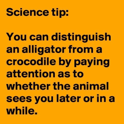 1715943390075.png