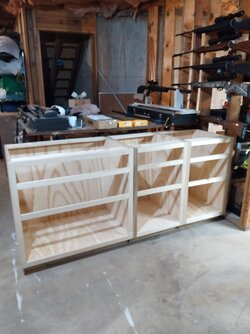 cabinets and guns.jpg
